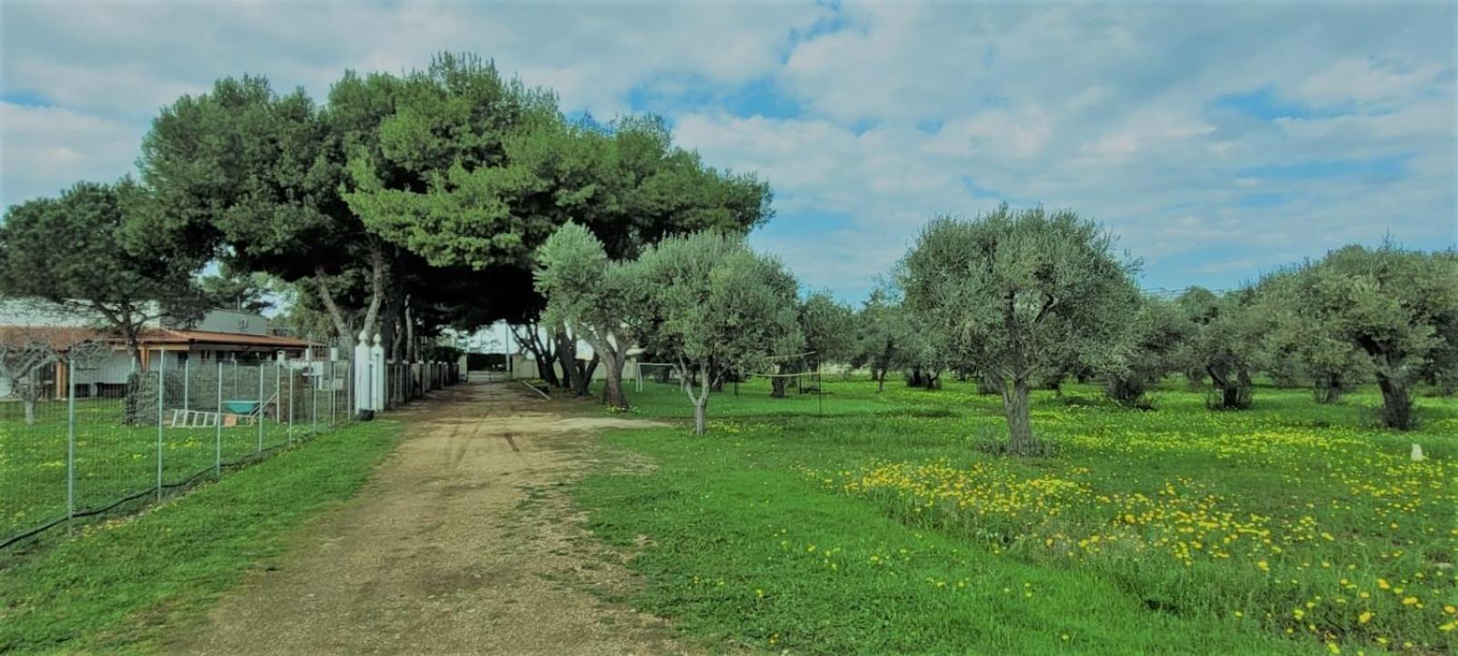 Villa Laura Bari Exterior photo